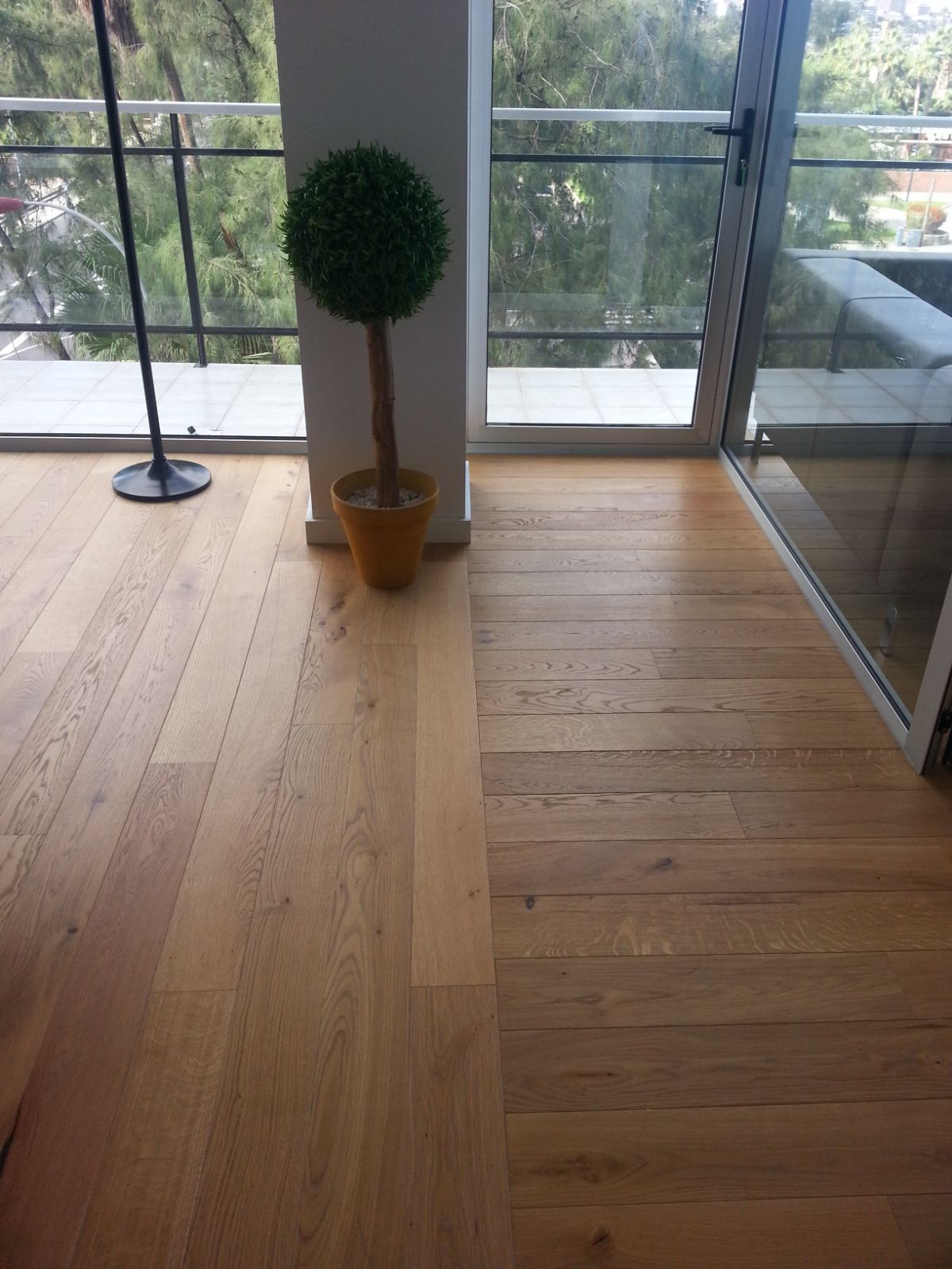 Imagen Galería 0